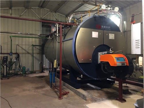 WNS gasdieseldriven 6000 kg ångpanna i Kina