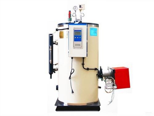 0,5T gasdriven ånggenerator för spa